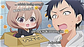 Nemu Neko yg dibuang 😀