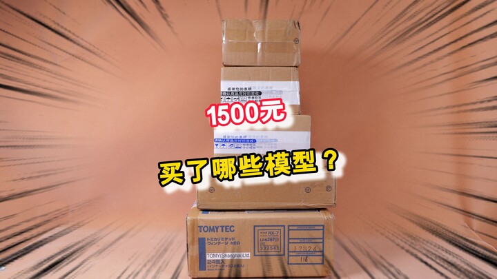 1500元能买多少模型？小猫偷偷买的模型大开箱