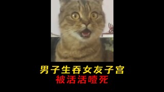 一个听完，让你小脑萎缩的事件！