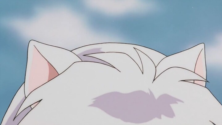 InuYasha cắt cảnh vểnh tai + bị véo tai (TV)