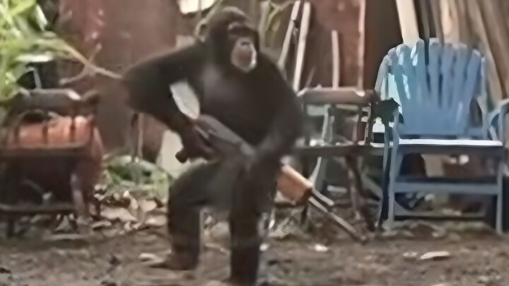 Kehidupan Sial Memanggil 2 1