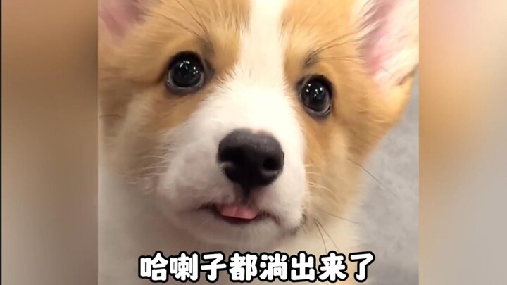 "Look! I caught a little chick!"