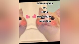 giới thiệu thêm về mèo nè gioithieubanthan#meow#meocute#meodangyeu