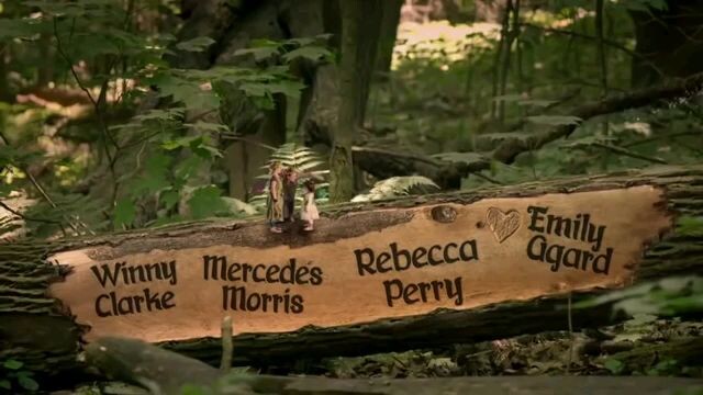Forest Fairies
