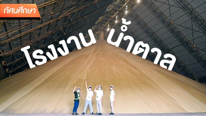 ผลิตน้ำตาลยังไง? ทำจากอะไร? - ทัศนศึกษา