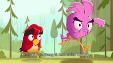 Angry Birds: Quậy tưng mùa hè EP 16 [Sub Việt]