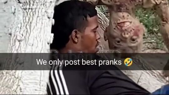 funny video sleeping man scared