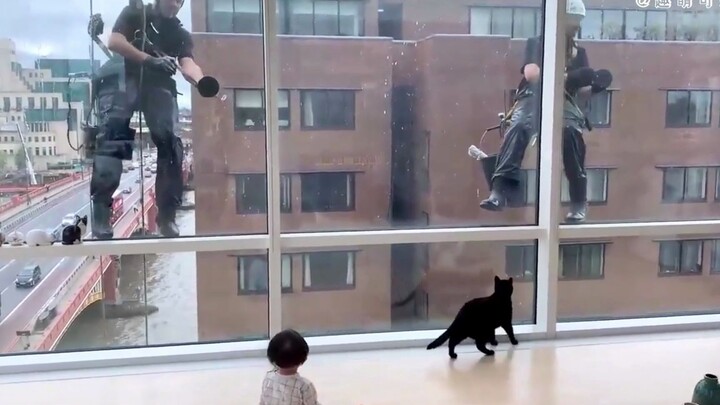 An amusing scene on the exterior glass of a super-tall mixed-use complex—spotted by a cat!