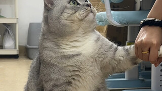 小姨硬要大壮跟她回家