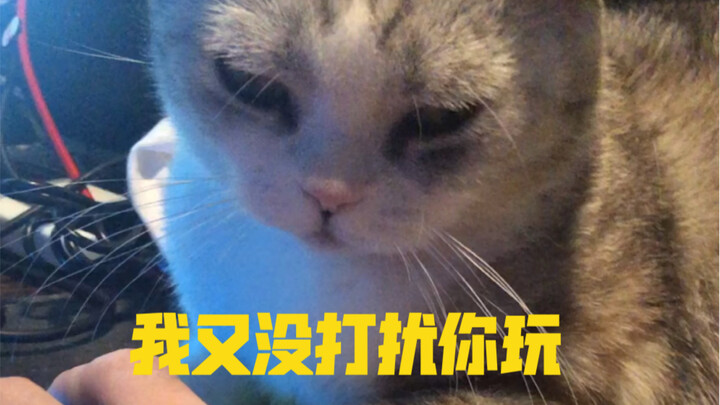 You’re the one playing; I’m not bothering you.