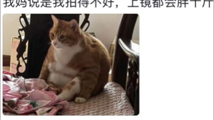 ครอบครัวที่เลี้ยงสัตว์ปากแข็งแค่ไหนกันนะ🤣