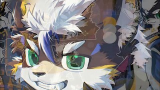 From human to furry, what have I experienced?