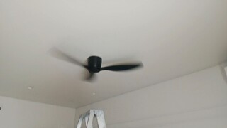 flying fan watch...