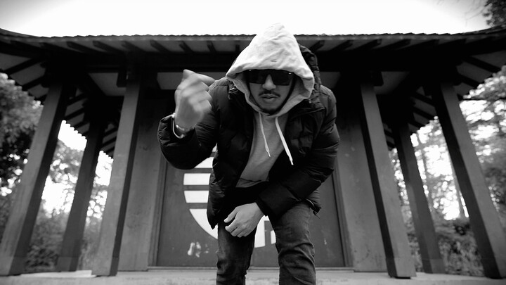 Omry TSR - pique comme une abeille 像蜜蜂 样蜇人