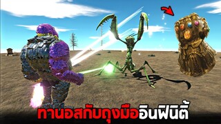 ทานอส !! ข้าคือชะตาที่มิอาจเลี่ยง (โคตรโหด)  -  [ animal revolt battle simulator ]