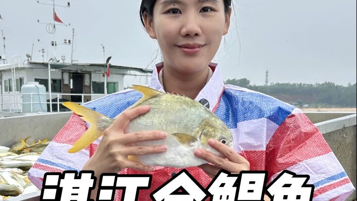 Ikan Kuning Zhanjiang, asal Teluk Beibu! Ikan favorit bahkan bagi nenek-nenek berusia 60 tahun!