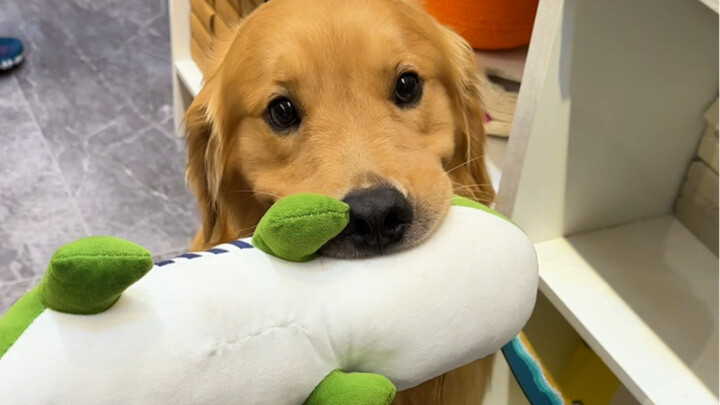 Waiting online to buy it