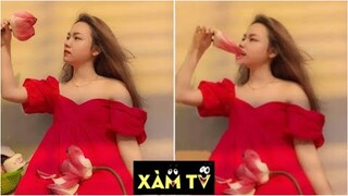 Truyện Ảnh Chế Hài Hước (P37) -Nhìn Thôi Đã Thấy Hài Rồi 🤣 XÀM TV, Nhạt VL, Mặn VL