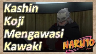 Kashin Koji Mengawasi Kawaki