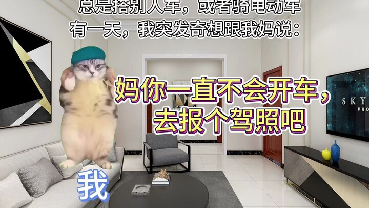 [Cat Meme] The story of how I encouraged my mom to get her driver’s license and bought her a little 