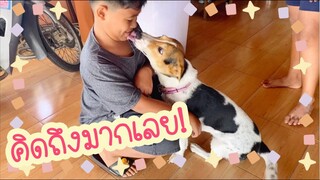โลกของแสนดี ตอน พี่คิวมาหาแล้ว