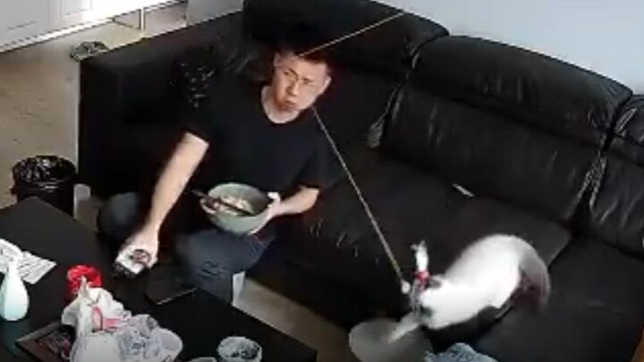 My cat tried to strangle me today!