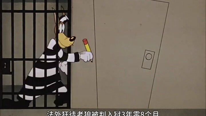 Have you ever seen such a beautiful anime?