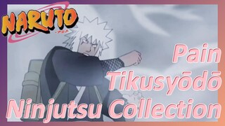 Pain Tikusyōdō Ninjutsu Collection
