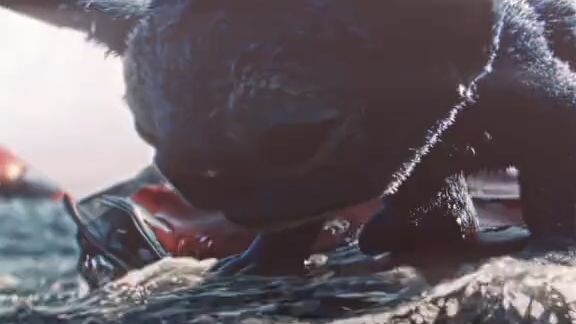 Life Saved by Loyalty 🥺🥺💔