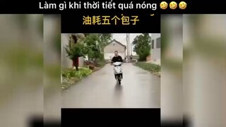 Làm gì khi thời tiết quá nóng