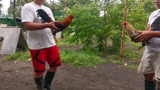 Basta pogi matic magaling  (5k Sweater)