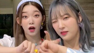 ITZY x Billlie new song sneakers + red bean shaved ice challenge!