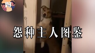 【野生人类图鉴】重生之我是猫 大 郎【妈见打】