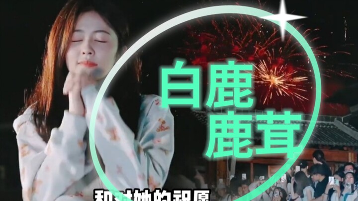 追星怎么可能追谁都一样，白鹿和鹿茸，一直都是彼此守护的关系！#白鹿