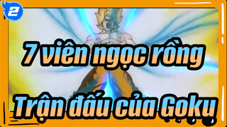 7 viên ngọc rồng
Trận đấu của Goku_2