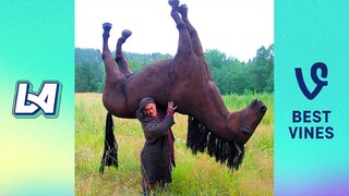 Try Not To Laugh Funny Videos - Hilarious Animal Fails Compilation
