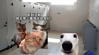 Say the softest words, do the toughest things.