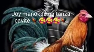 Swerti pa tau jn na araw niyan 3.manok pnalow papya lines ne joy manok ng tanza cavite 🐓🤣🤣🤣🐓