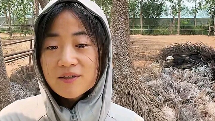 Làm việc cần nhất là hợp nhất giữa tri và hành. Mong rằng bạn này nhất định hãy kiên trì là chính mì