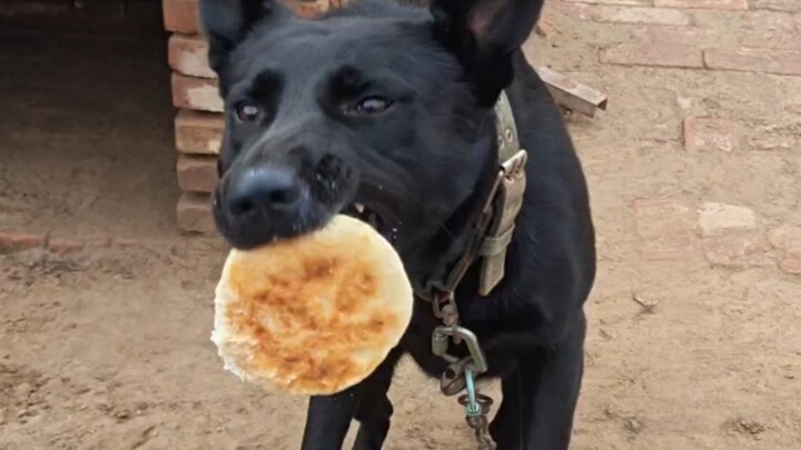 لا داعي للكلام.