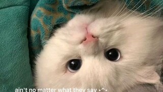 #Ilyboy