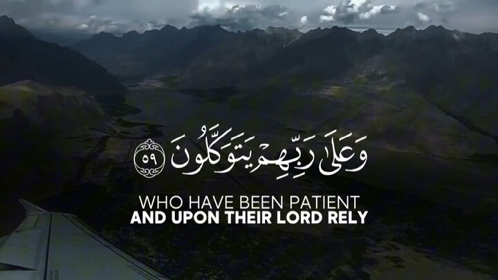 La Ilaha Illallah (لَا إِلَٰهَ إِلَّا ٱللَّٰهُ) "And He has subjected for your benefit the day and