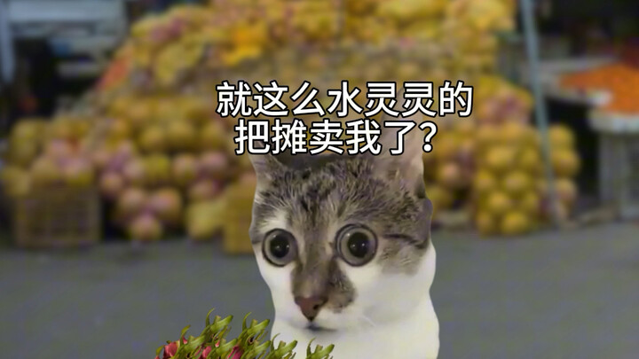 When I traveled to Guangxi