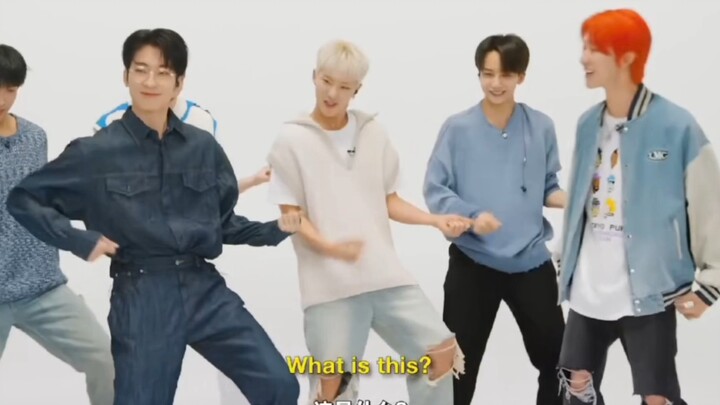 次人那些奇怪的刀群舞