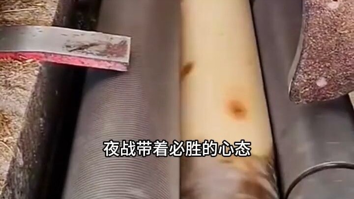 Tôi không có số phận của nhân vật chính 8