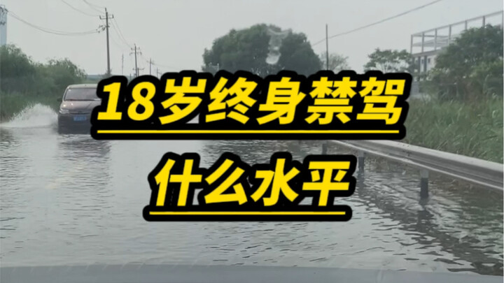 ระดับของการถูกห้ามขับรถตลอดชีวิตเมื่ออายุ 18 ปีคือเท่าไร?