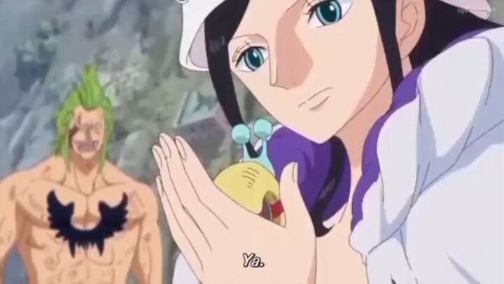 one piece robbin