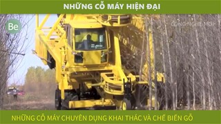 be37-3 - những cỗ máy hiện đại trong khai thác gỗ