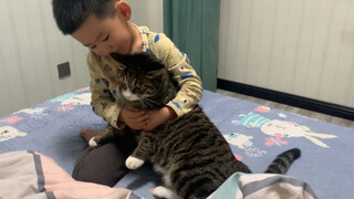 狸花猫:对人类幼崽我是绝对容忍的！铲屎官就不能惯着了！