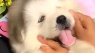 “艾特世界上最可爱的人来看”